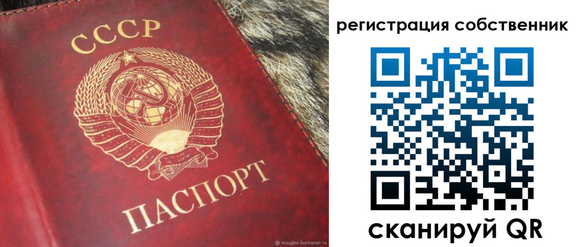 временная регистрация надежно в Зеленокумске